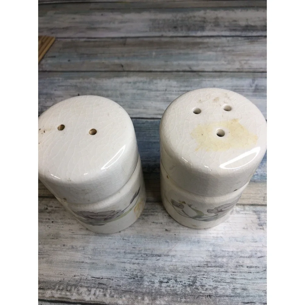 Vintage Table Tops Lovely  Ceramic Floral Salt & Pepper Shakers